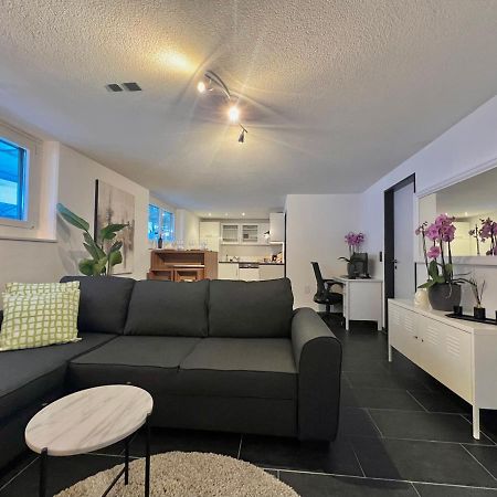 The R Apartment Froburg, Parking, Netflix, Golfplatz Obergosgen 外观 照片