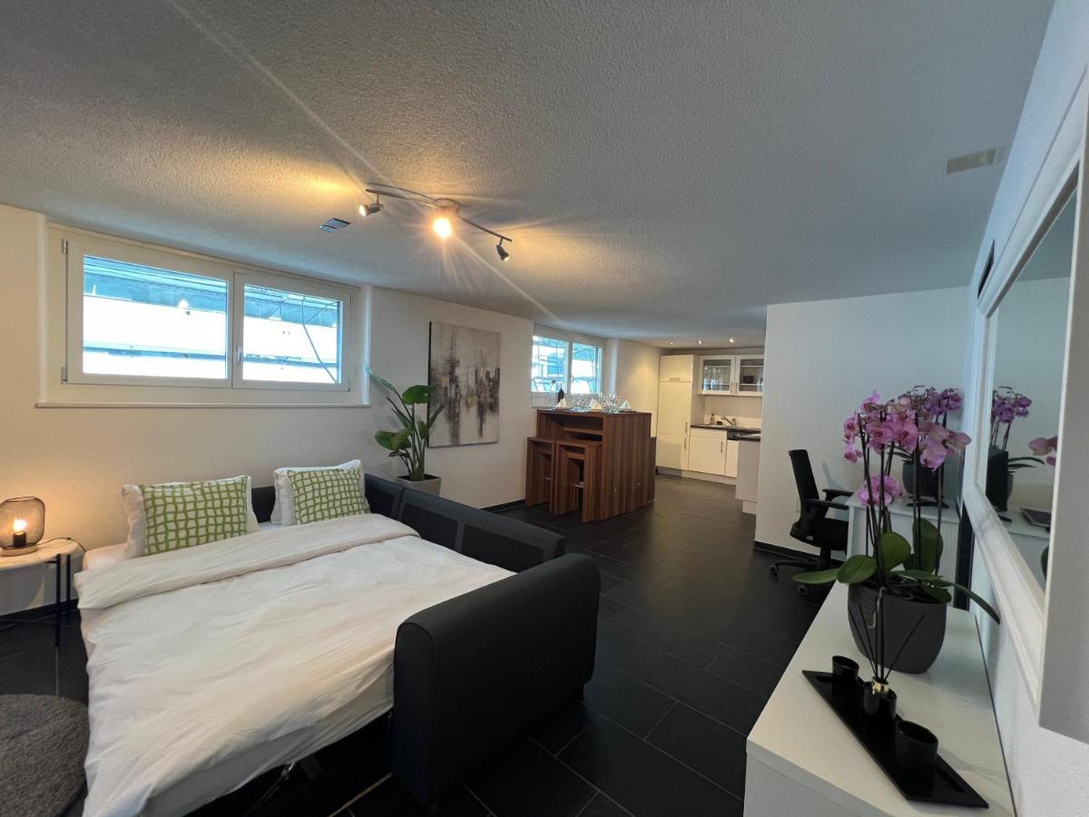 The R Apartment Froburg, Parking, Netflix, Golfplatz Obergosgen 外观 照片